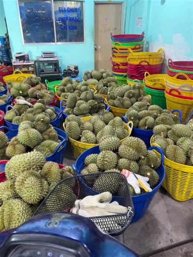 Thu dạt ri thái Ri3x Thái dạt 4x lùa Cd thái 5x | Lê Hoài Linh