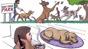 656K views · 286 reactions | Vets agree… “The signs can be difficult to spot” - Dr David Dycus “...can rob a dog of all their mobility” - Dr. Sarah Wooten “Things they used to enjoy, like going for walks or greeting you at the door, can turn into agony.” - Dr. Robin Downing Visit https://bigbarker.com/pages/the-joint-crisis now and learn what you can do to protect your dog today. | Barker Dog Beds | Facebook