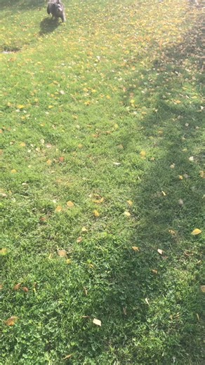 77 reactions · 11 comments | Învioraaaa-rea! 﫵 | Ana Maria Ioras | Facebook