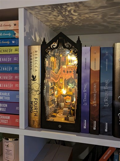 Après plus de 20h de travail, j'ai finalement terminé mon premier book nook. Il n'est pas parfait, mais pour une première expérience, je le trouve vraiment super! #booktokquebec #booknooktok #magicallibrary #booktokthings #booktokfr