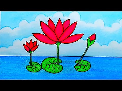 How to draw water lily step by step ( very easy)how to draw a water lily pad