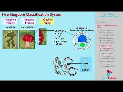 Diversity in Living Organisms Class 9 Science - Five Kingdom Classification System