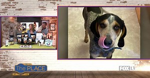 FurReal Tasty Treats are snacks you can feel good about giving to your pup