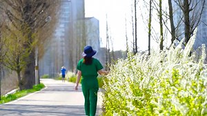 Porsche Videos: Download 12+ Free 4K & HD Stock Footage Clips - Pixabay