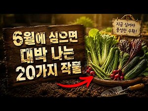 유월 텃밭, 늦었다고 포기하면 평생 후회합니다! 지금 당장 심어도 폭풍 성장하는 여름 작물 스무 가지