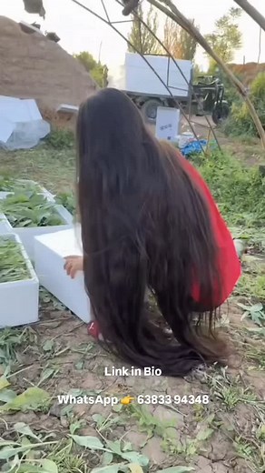 5.1K views · 1K reactions | At Just Rs.299/- Link in Bio WhatsApp...