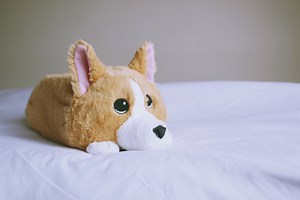 286K views · 608 reactions |  Hi, hoomans! My name is Waffles and I am a Memory Foam Corgi. I am the perfect pillow for both travel and home use. ADOPT me today and I'll be your cuddle companion for life!  Pawsome Features: ✔️ Washable, removable outer shell ✔️ Long-lasting memory foam ✔️ Adorableness | Memory Plush | Facebook