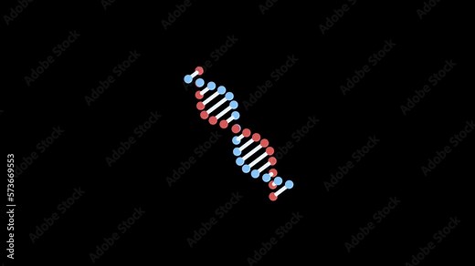 DNA 3D and 2D animation on without any background. moving deoxyribonucleic acid helix. Science and medical technology concept. transparent black background Stock Video