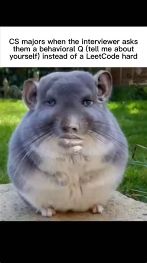 CS major | Software engineer on Instagram