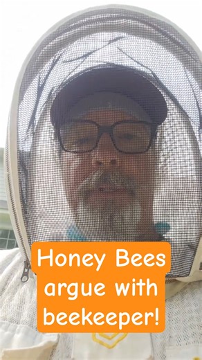 2025 09 14 Apiguard Treatment