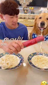 29M views · 963K reactions | Cuando tu perrito es más rápido que vos  | Mascotas en Adopcion Argentina | Facebook