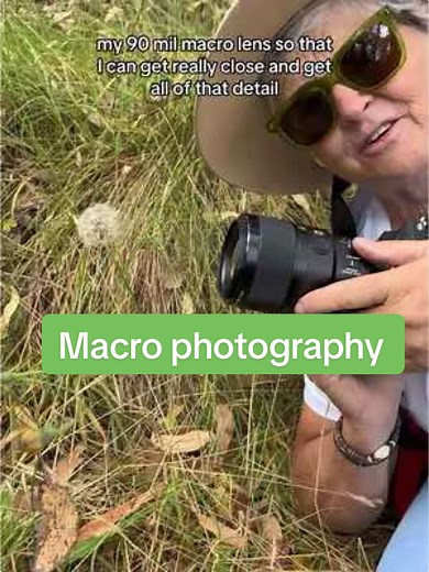 Exploring Macro Photography Techniques for Stunning Images