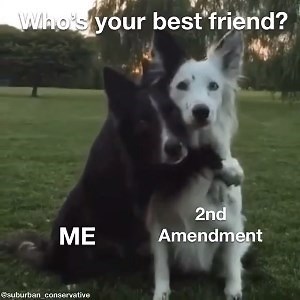 Pretty much sums it up. | Alien Gear Holsters