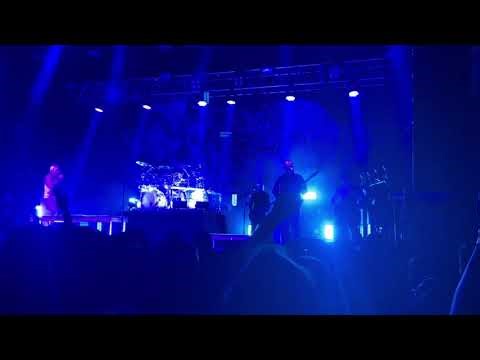 DIG_Internal Primates Forever