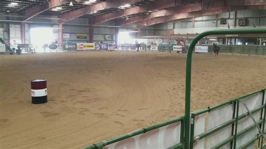 AQHA barrel/Head Horse | Horses | KSL Classifieds