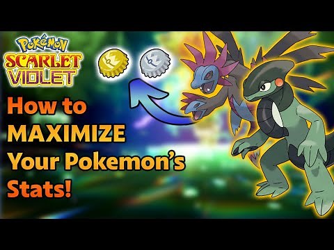 How to Maximize Your Pokemons Stats in Pokemon Scarlet and Violet! Hyper Training Location and Guide