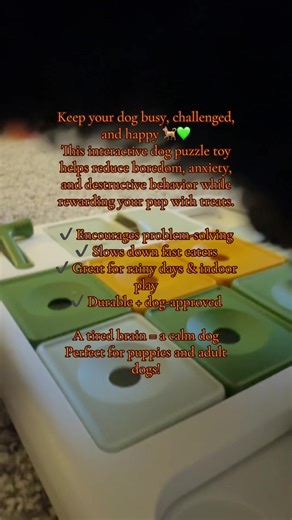 Keep your dog busy, challenged, and happy dog 💚 This interactive dog puzzle toy helps reduce boredom, anxiety, and destructive behavior while rewarding your pup with treats. ✔️ Encourages problem-solving ✔️ Slows down fast eaters ✔️ Great for rainy days & indoor play ✔️ Durable dog-approved A tired brain = a calm dog Perfect for puppies and adult dogs! #DogPuzzleToy #InteractiveDogToy #EnrichmentForDogs #DogMentalStimulation #SmartDog