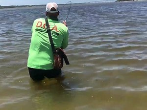 3.5K views · 118 reactions | Ed battling a snook caught on DOA Shrimp. DOALures.com | DOA Lures | Facebook