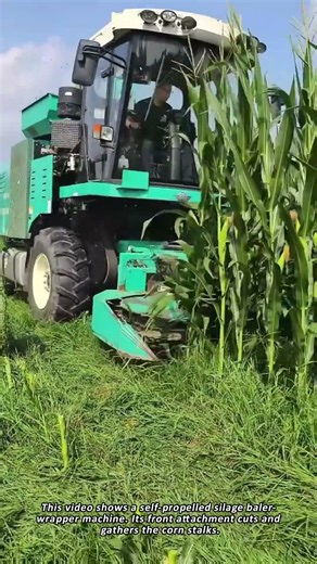 How Modern Machines Harvest Corn for Silage