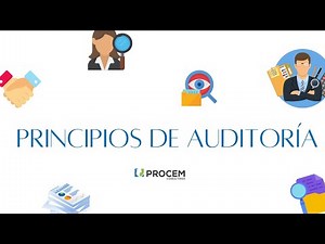 Audit Principles