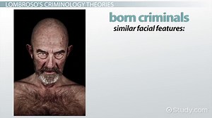 Cesare Lombroso: Biography, Theory & Criminology