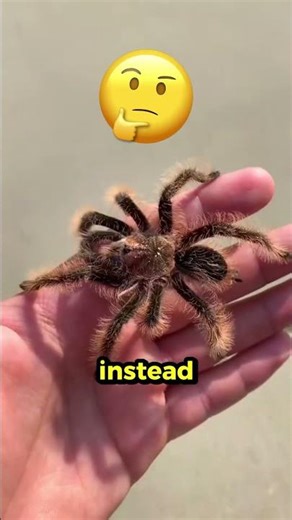 He Opened His Cereal… But What Came Out Was TERRIFYING 😳🪳