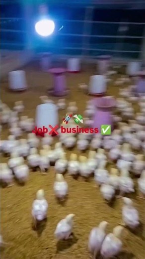 #farming #poultryfarming #allindiapoultryfarming#farming