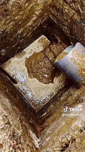 OPPO Camera Review: What Makes It Stand Out?