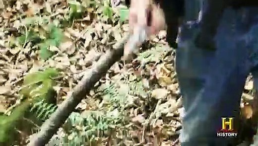 Appalachian Outlaws S01 E02 Ginseng Fever