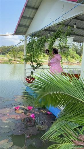 Tràm Chim Farmstay: Trải nghiệm nghỉ dưỡng hữu tình