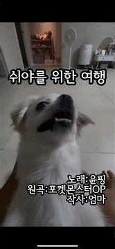 자, 이제 시작이야! 쉬야하러 갑니다 ㅠㅠㅠ #포켓몬스터 #피카츄 #포켓몬카드 # #강아지 #애견영상 #강아지일상 #강아지브이로그 #웃긴영상 #poketmonster