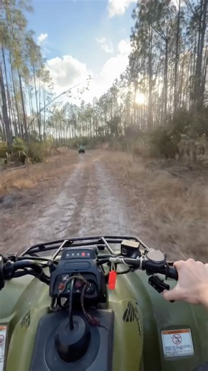 Forest 4 Wheeler Run POV