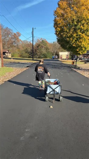 Daisy deliveries | Ariel Varner