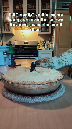 Understanding the Purpose of a Pie Bird: A Guide