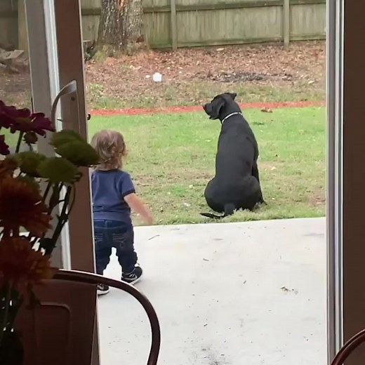 377K views · 1.6K reactions | This might be the cutest cuddle we ever saw 沈 | Go Fetch | Facebook