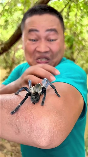 Survival Hacks Using Pepper: Life-Saving Techniques