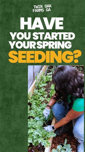 Niya Brown Matthews | Please Watch Video to the End 👀 SPRING SEASON WHERE YA AT?🤪 Gardeners you started seeding yet? You got time but I need you READY &... | Instagram