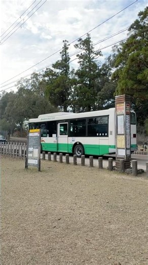 春日大社表参道バス停を通過するいすゞエルガミオ#奈良交通#いすゞエルガミオ