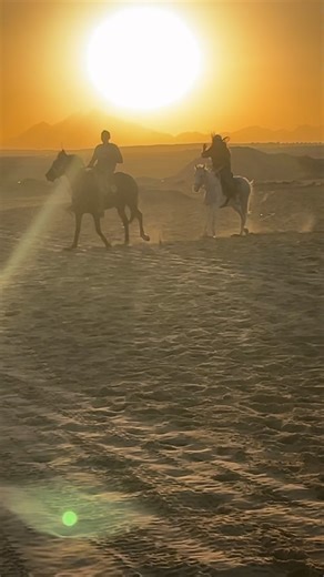 Tamara 🎀💄 on Instagram: "On a fait les deux activités avec @autourdesduneshurghada Hurghada : - balade à chameaux : c’était une première fois pour moi, j’ai trouvé ça super haut ! Mais c’était top - balade à cheval + spectacle oriental : renouer avec mes souvenirs d’équitation c’était tellement génial ! Même ma pote qui n’a jamais fait d’équitation a adoré ! Supplément coucher de soleil incroyable un centre où les animaux sont bien traités je dis oui !! - Restaurant le GRANADA : super bon ! Pe