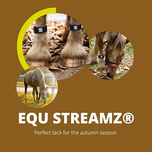 As autumn closes in we begin to see changes in living conditions for our horses which can often result in health complications. From stiff joints to mud fever - EQU StreamZ can be a valuable tool in helping your horse through the season. Get £5 OFF using the code AUTUMN5 today! >>> WWW.EQU-STREAMZ.COM | EQU StreamZ