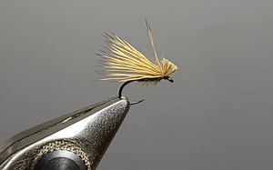 飞蝇绑制 CDC 躯体鹿毛石蚕蛾