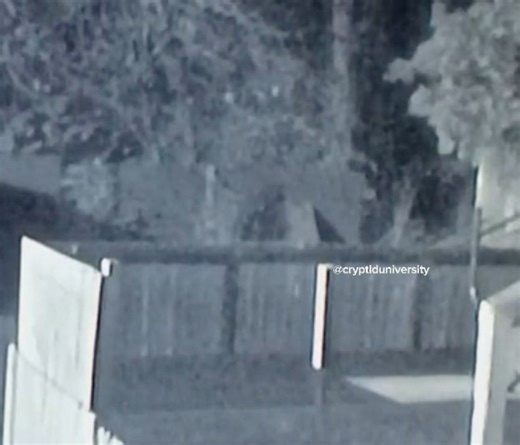 205K views · 3.8K reactions | A Sasquach was recorded on a home surveillance camera system in a persons backyard in North East, Texas! | Cryptid University | Facebook