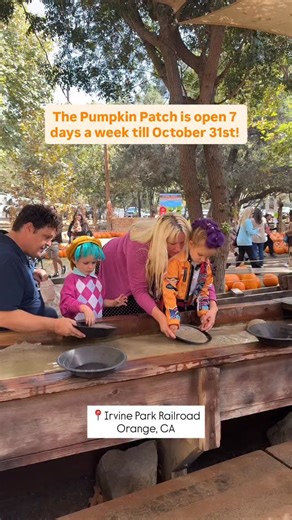 Irvine Park Railroad on Instagram: "The Pumpkin Patch at Irvine Park Railroad is open daily until 6pm all October long! 📅 Dates: NOW – October 31 ⏰ Hours: Monday–Friday: 10am–6pm Saturday & Sunday: 8am–6pm 📌 Weekdays: FREE to enter 🚨 October weekends: Reservations required 🎟 Tickets: $8 per activity ticket Book of 15 tickets: $100 (save $20!) 🚗 Parking: Weekdays: $3 | Weekends: $5 | Holidays: $7 🎡 Activities Include: 🚂 Train Rides (1 ticket) 🌾 Hay Rides (1 ticket) 🎈 Moon Bounce (1 ticke