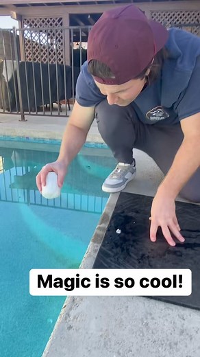 did you see when it transformed? #magictrick #magical #ViralContent2024 #trending2024reel | Drama Club: Backstage Pass