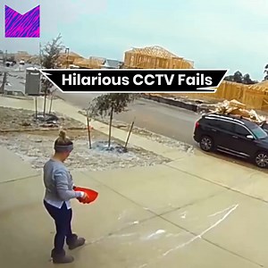 222K views · 72 reactions | These fails are GOLD  | Animal Memes | Facebook