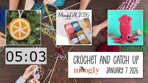The holidays are wrapped up, the calendar is full of possibilities, and it’s time for the first Crochet and Catch Up of the new year on Moogly! Let’s ease back in with cozy yarn chat, a little crafty reset, and a look at current WIPs, new patterns, and what’s ahead for the year. Whether you’re finishing leftovers from last year or starting something brand new, grab your hook and join me for a relaxed January hangout and a peek at what’s coming next on Moogly. https://www.mooglyblog.com/catch-up-