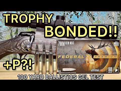 7mm Remington Magnum Trophy Bonded Tip Ballistics Gel Ammo Test