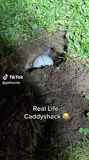 Explore the Humor in Caddyshack's Gopher Character