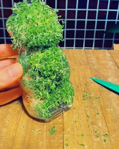 This women shares her tips and tricks on how to grow plants 🌿 | LADbible