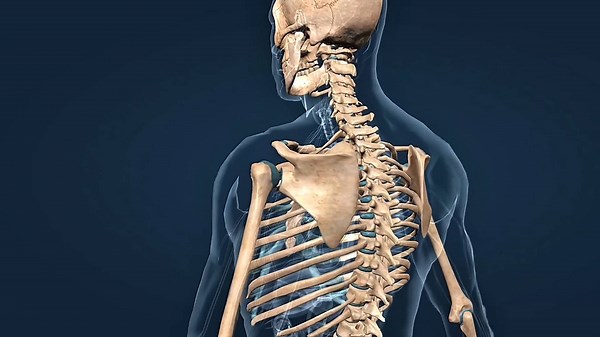 Best exercises to strengthen your bones, backed by science
